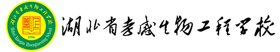 冠军cmp建筑工程有限公司